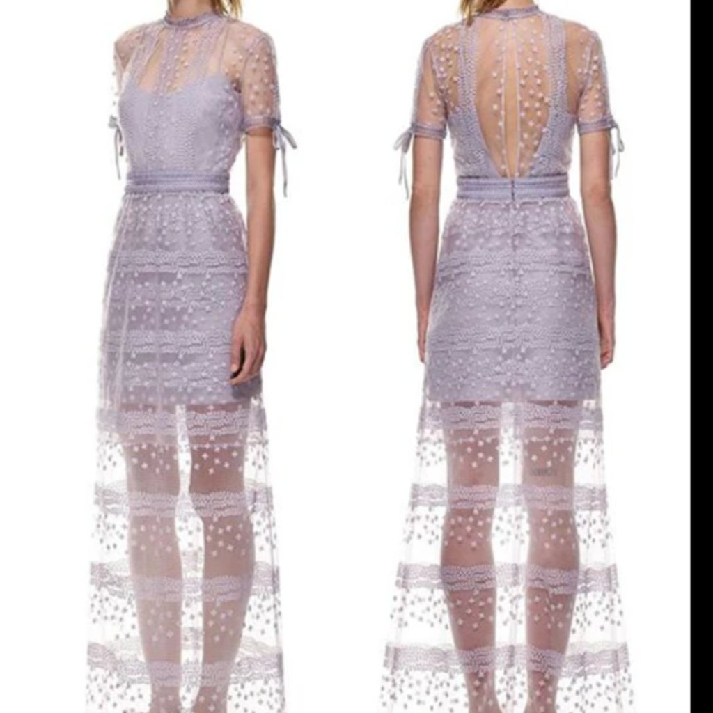 Self Portrait Gorgeous, Delicate Maxi Dress. Size Small. Lightly Worn